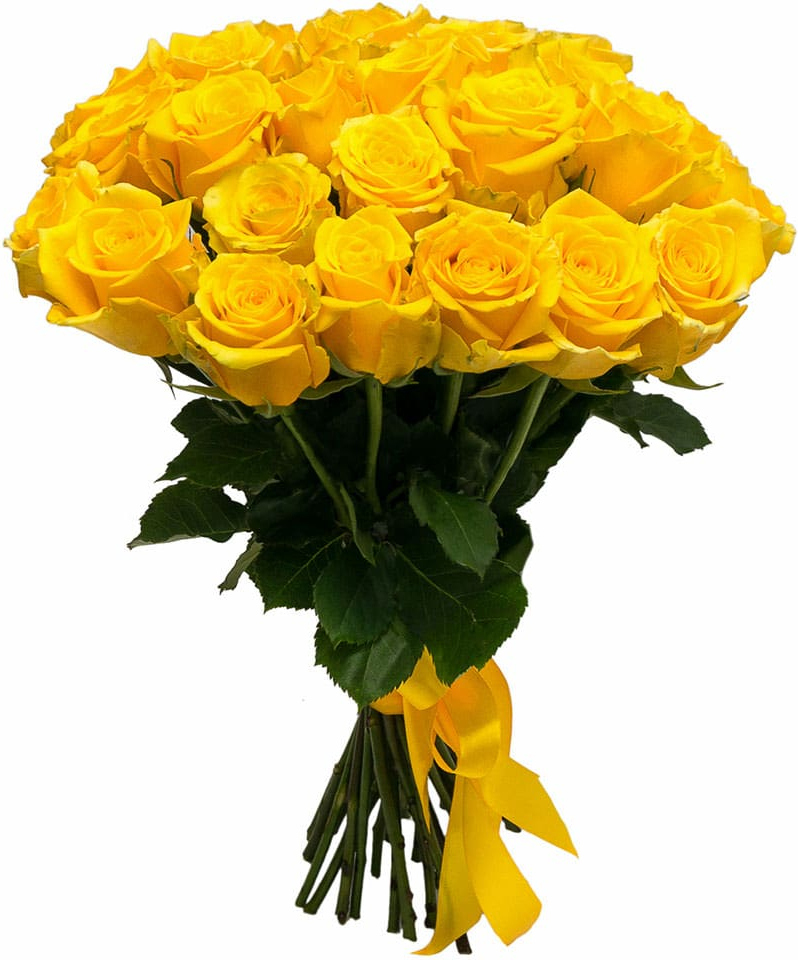 Розы Эквадор желтые