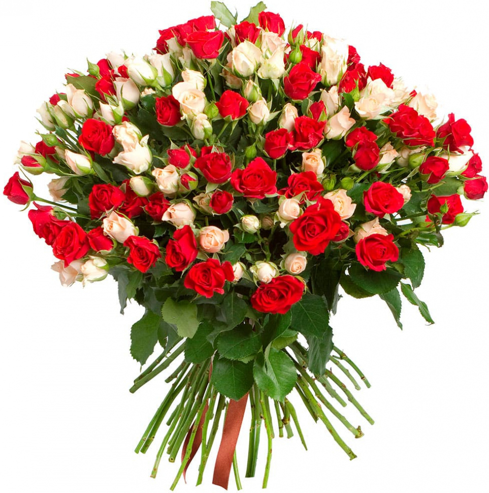 Кустовые розы Микс № 3